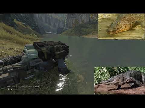 Видео: DAYZ. В поисках хорошего сервера