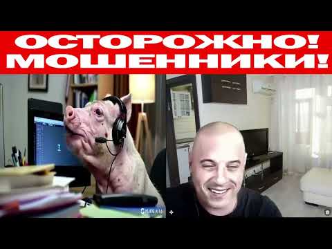 Видео: Мошенник и Шапокляк