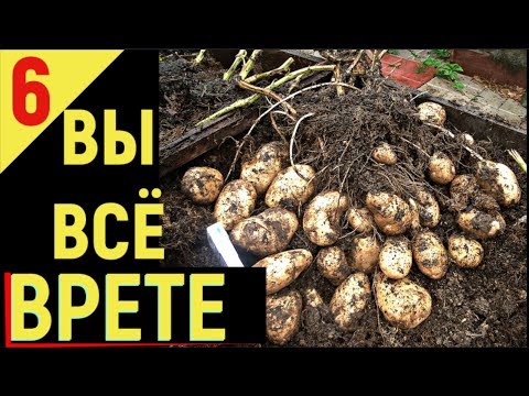 Видео: ВЫРАЩИВАНИЕ КАРТОФЕЛЯ от А до Я Ответы зрителям часть 6