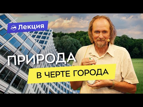 Видео: Зелёное кольцо Москвы - пешеходно-беговой маршрут