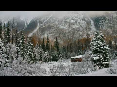 Видео: ТАЕЖНЫЙ ПРОМЫСЕЛ. РЕАЛЬНАЯ ИСТОРИЯ