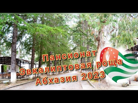 Видео: Пансионат- Эвкалиптовая роща. Абхазия. Октябрь 2023.🌱👍Море, источники, эквалипты. #абхазия2023.9ч.