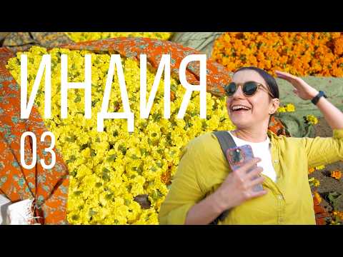 Видео: Индия | Златният Триъгълник | Част 03 | Джайпур | Делхи