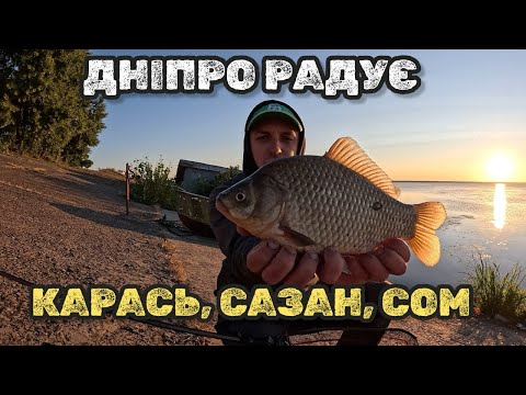 Видео: ДОЧЕКАВСЯ КЛЮВАННЯ САЗАНА! КАРАСЬ НА ДНІПРІ! НІЧНИЙ ФІДЕР ТА ЛОВЛЯ СОМА!