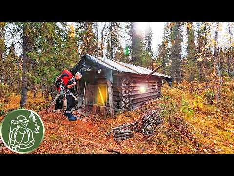 Видео: Одна живу в избе-конуре в дикой тайге