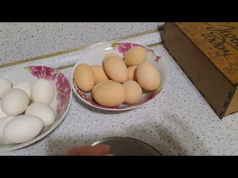 Видео: СКОЛЬКО ЖЕ ВЕСИТ ДЕСЯТОК  ЯИЦ ?!🍳🤔