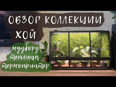 Видео: Обзор коллекции хой 2025 | Часть 3 | Мудборд, теплица ИКЕЯ,  термопринтер