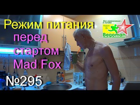 Видео: Режим питания перед стартом Mad Fox (№295)