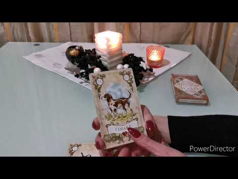 Видео: ОБЗОР МАЛОРГО ОРАКУЛА  МАДАМ ЛЕНОРМАН.МОИ КОЛОДЫ ТАРО.НОВЫЕ И ЛЮБИМЫЕ ПОЛЕЗНАЯ И НУЖНАЯ ИНФОРМАЦИЯ.