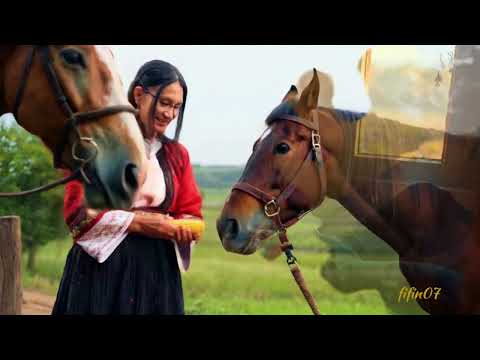 Видео: •♫•♬•Честит ТОДОРОВДЕН /поздрав с песен | Official MV #новапесен #Тодор #fifin07