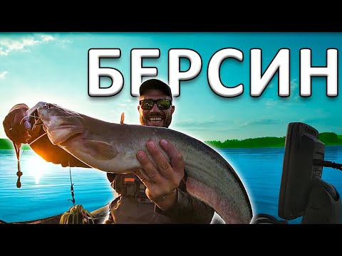 Видео: СОМОВЕ НА БЕРСИН. КЛЬОНК РИБОЛОВ