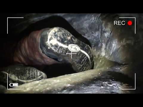 Видео: Прогулка по Яумбаевской пещере | Застряли в "Унитазе"