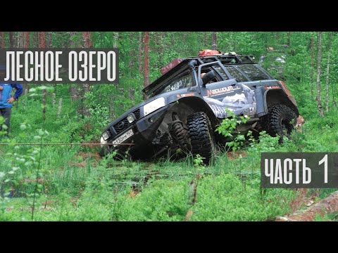 Видео: Рыбалка на лесном озере. Дорога через болото. Часть 1.