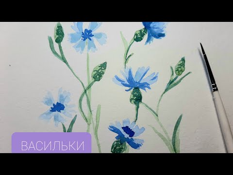 Видео: Акварель для начинающих.  Как нарисовать летние цветы ВАСИЛЬКИ