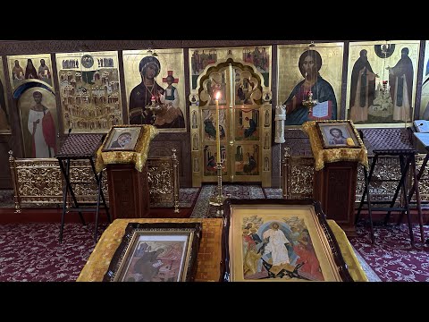 Видео: Вечірнє Богослужіння ПДС 08.11.2025 прямий ефір. прп. Нестора Літописця