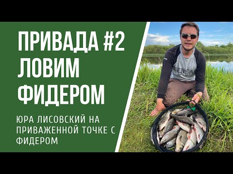 Видео: Привада#2  Облов фидером закормленной точки на реке и ловля подуста