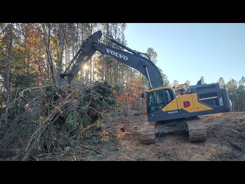 Видео: За работу! Осталась последняя часть дома, которую нужно очистить.
