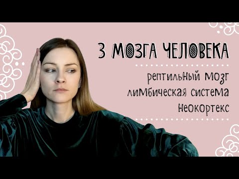 Видео: Три мозга человека: рептильный мозг, лимбическая система и неокортекс
