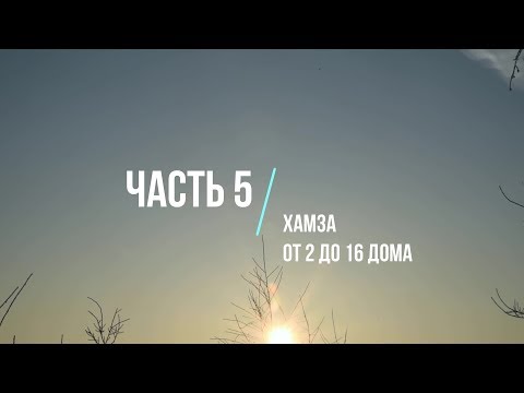 Видео: Про Хаваст. Часть 5 "Хамза" (июнь + август 2019)