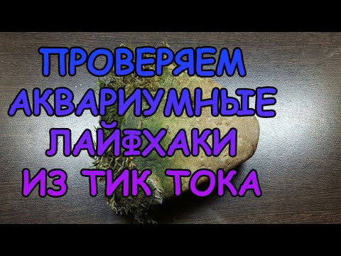 Видео: ПРОВЕРЯЕМ АКВАРИУМНЫЕ ЛАЙФХАКИ ИЗ ТИК ТОКА