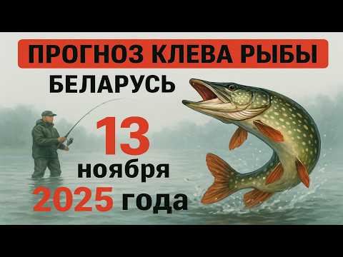 Видео: ПРОГНОЗ КЛЁВА в Беларуси на 13 ноября 2025 года: Бросай все и на рыбалку!