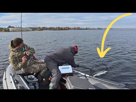 Видео: !! СУДАКИ 5 + !! Вони не лізуть в Підсак / Рибалка ВІДПАД