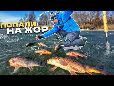 Видео: САЗАН ВТІК В ЛУНКУ‼️ ТОПОВА РИБАЛКА НА САЗАНА та КАРАСЯ‼️