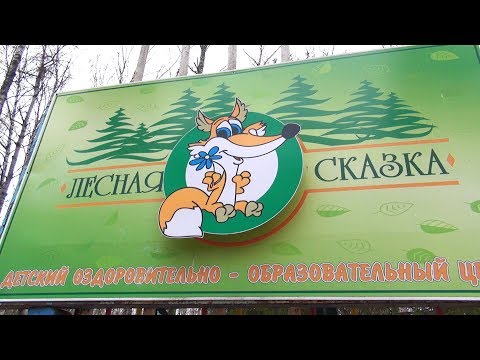 Видео: ЛЕСНАЯ СКАЗКА