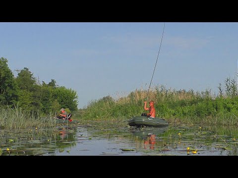 Видео: СКИНУЛИ ВОДУ І ВЕСЬ КРУПНЯК ВИЙШОВ З БОЛОТА. Рибалка на боковий кивок