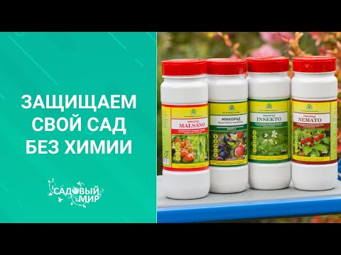 Видео: ЗАПУТАЛИСЬ В ПРЕПАРАТАХ? ШПАРГАЛКА ПО ИНСЕКТИЦИДАМ(от вредных насекомых) и ФУНГИЦИДАМ (от болезней)