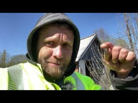 Видео: Дом в деревне, сколько это стоит? Корчую деревья машиной! Сдаю металл