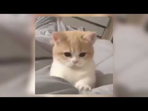 Видео: время и стекло - дим (speed up)