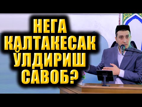 Видео: НЕГА КАЛТАКЕСАКНИ ЎЛДИРИШ САВОБ?