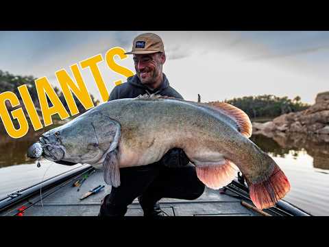 Видео: Монстр-треска Мюррей: открываем секретные окна приманки и поклевки