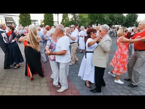 Видео: Вечер Танго На Советской! Восхитительная Музыка В Бресте!