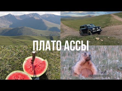 Видео: Плато Ассы: дорога, красивые виды, и сурки!