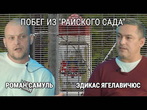 Видео: СОСЕДИ / РОМАН САМУЛЬ / ИЗ "РАЙСКОГО" САДА В "ДИКТАТУРУ"