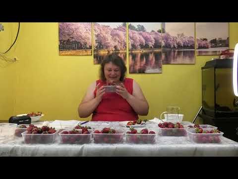 Видео: Серия 2  Замер сахара в ранних сортах клубники с 11 по 15 номер