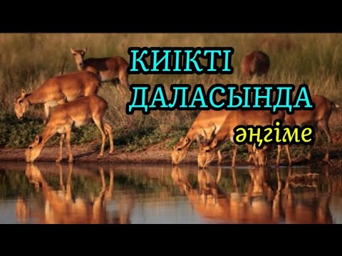 Видео: КИІКТІ ДАЛАСЫНДА әңгіме авторы Қуандық Шамахайұлы#аудиокітап#аудиоәңгіме