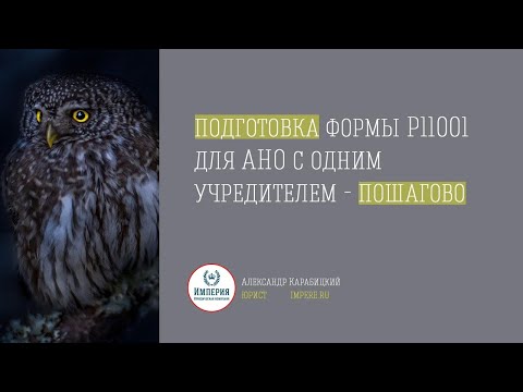 Видео: Регистрация АНО! Заполнение заявления Р11001 для открытия АНО с одним учредителем- физическим лицом!