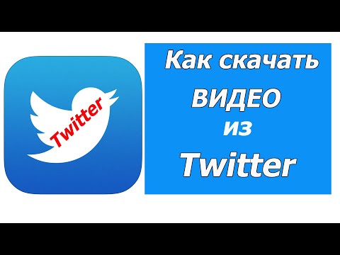 Видео: Как скачать видео из Twitter на компьютер