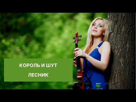 Видео: Король и Шут - Лесник (Violin cover) LIVE