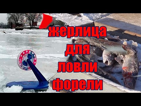 Видео: Жерлица для ловли форели  Жерлица на форель