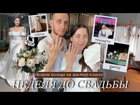 Видео: НЕДЕЛЯ ДО СВАДЬБЫ 🤍 Подготовка: выбор ПЛАТЬЯ, наши КОЛЬЦА, концерты ✨