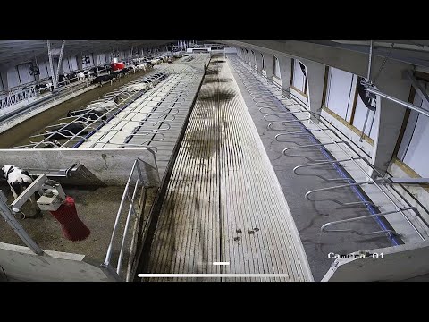 Видео: Fermos statyba / Строительство фермы / Farm construction