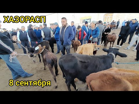 Видео: ЁШ ХУКИЗ ВА ЁШ ХУНАЖИН ВА КИСИР СИГИР НАРХЛАРИ ХАЗОРАСП МОЛ БОЗОРИ 8 СЕНТЯБРЯ 2024.Г