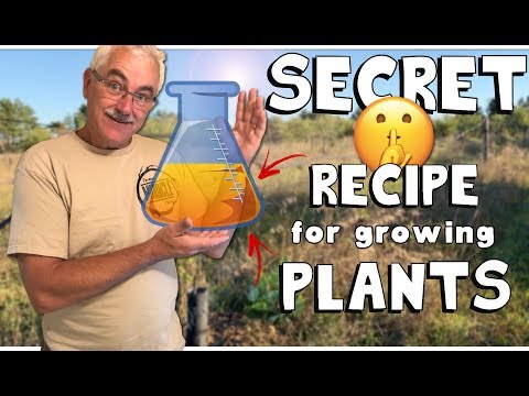 Видео: ИВОВАЯ ВОДА - СЕКРЕТНЫЙ РЕЦЕПТ для выращивания растений!