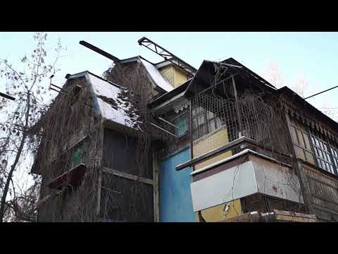 Видео: ГОЛУБЕВОДСТВО МОСКВЫ. ПИТОМНИКИ.#голубятни#голуби#голубеводство#питомник#выставкаголубей#pigeon