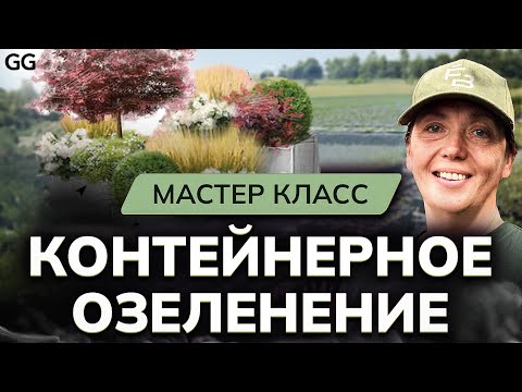 Видео: Контейнерное ОЗЕЛЕНЕНИЕ САДА! Мастер класс: кашпо, колористика растений, земля и правильный полив