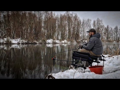 Видео: Зимний Фидер в Декабре //Рыбалка  2023 // Белоозерск